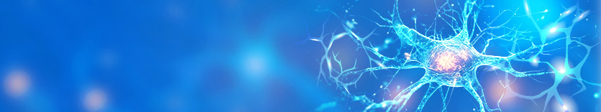 神經/腦科學研究相關ELISA試劑盒